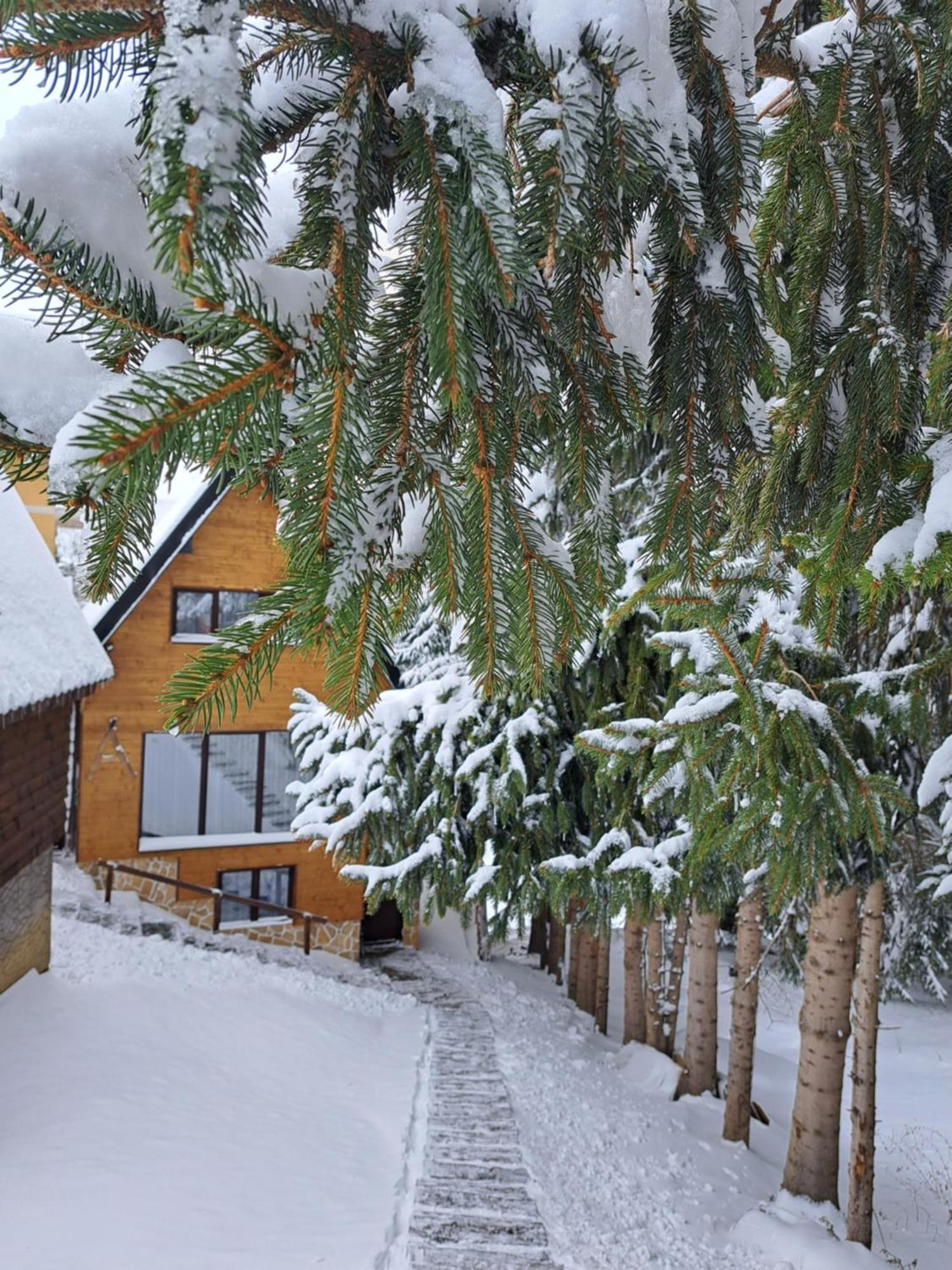 Villa Zagorka And Mountain Houses A, M, D Kopaonik Exteriör bild